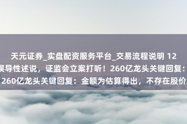天元证券_实盘配资服务平台_交易流程说明 1200亿“天价”订单涉嫌误导性述说，证监会立案打听！260亿龙头关键回复：金额为估算得出，不存在股价炒作