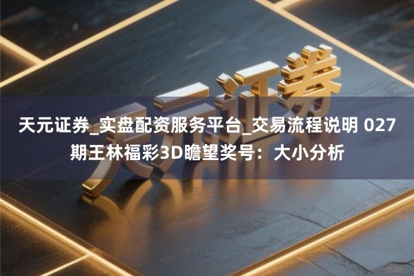 天元证券_实盘配资服务平台_交易流程说明 027期王林福彩3D瞻望奖号：大小分析