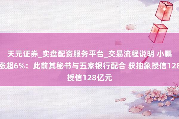 天元证券_实盘配资服务平台_交易流程说明 小鹏盘前涨超6%：此前其秘书与五家银行配合 获抽象授信128亿元